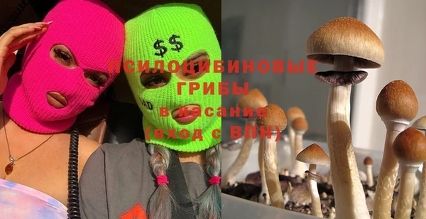 мет Алзамай