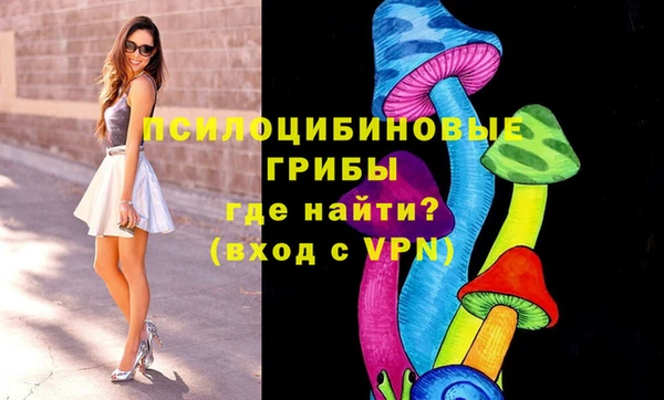 винт Алексеевка