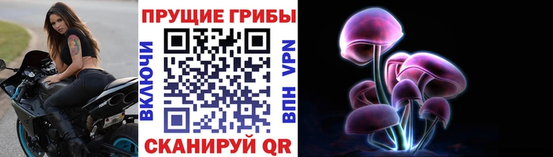МЕГА онион  Бугуруслан  Галлюциногенные грибы Cubensis  где найти  